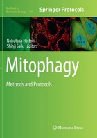 Nobutaka Hattori (U. A.) | Mitophagy | Taschenbuch | Englisch (2019) | Xi