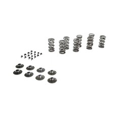 Scat Dual Valve Spring Set With Retainers For Vw Beetle - 20179