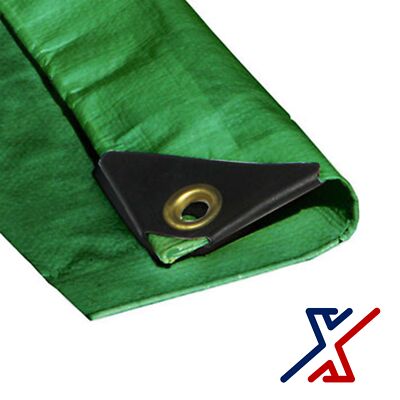 12 x 24 Green Color 10 Mil Heavy Duty Tarp / Canopy by X1Tools/Tarps