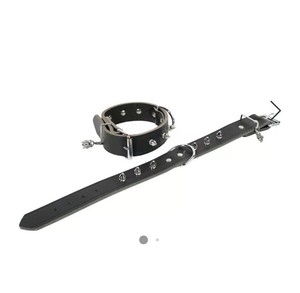 harley davidson spiked dog collar