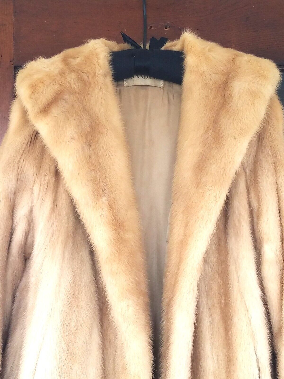 Picture 7 of 11