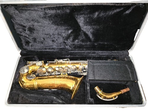 King Snake Two Bone 2023 - Amber Natural Safe delivery from Japan