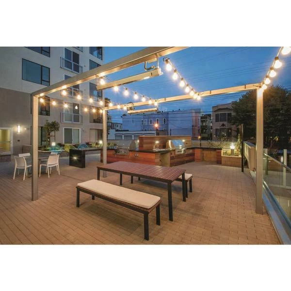 Cadena de luces Hampton Bay decoración exterior vacaciones 12 luces 24 pies negro comercial Foto 2 de 4