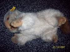 Vtg. Steiff Molly Piff Groundhog Marmot 0346/30 Stuffed Plush Toy Animal