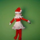 ELF ON THE SHELF Girl Plush Skirt Christmas Tradition CCA&B 2005 Plushie Doll — photo 7