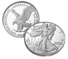 2021 S Type 2 American Eagle One Ounce Silver Proof Sealed *IN HAND* (21EMN)