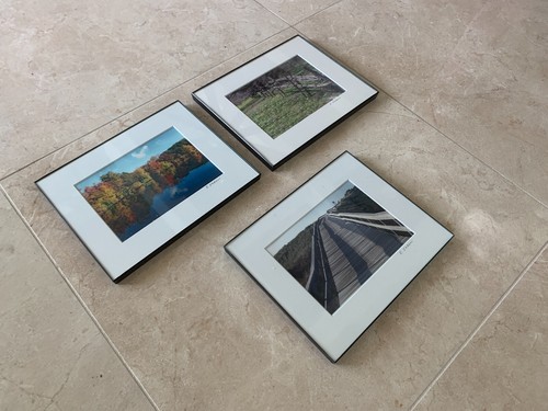 Grouping Trio Wall Art Fall Trees, Lake Ocean Boardwalk Photo Art Signed Framed - Picture 8 of 10