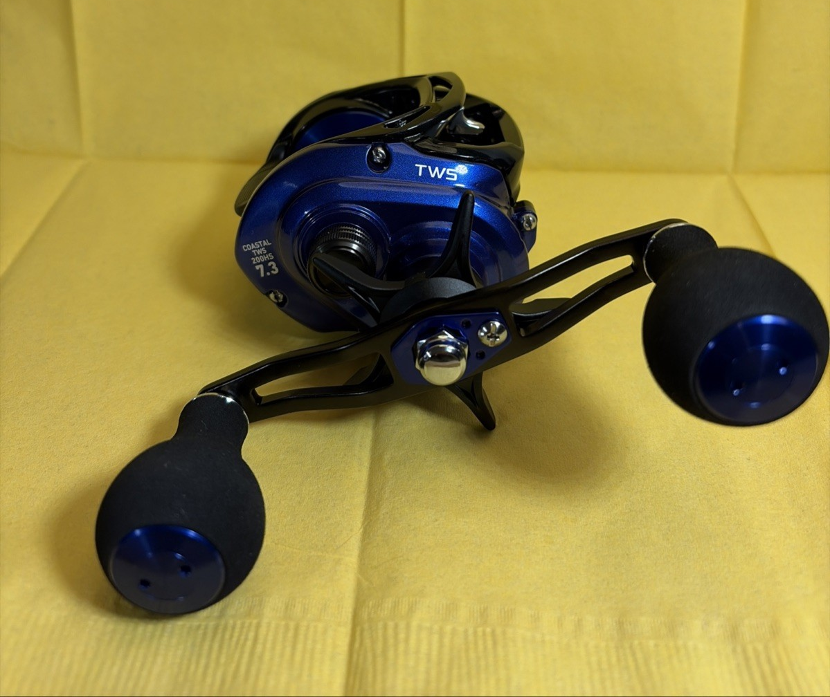 Daiwa CLTW200HS Coastal TWS Saltwater Reel for sale online | eBay