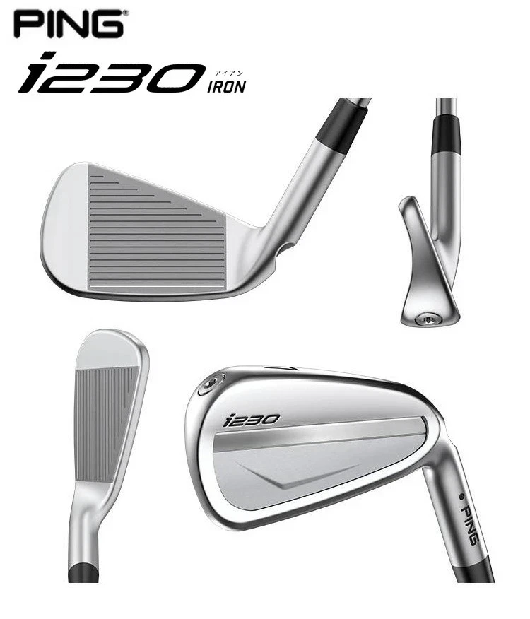 Ping Golf i230 Iron Set 5-pw / Dynamic Gold EX Tour Issue X100 - Image 3 of 4