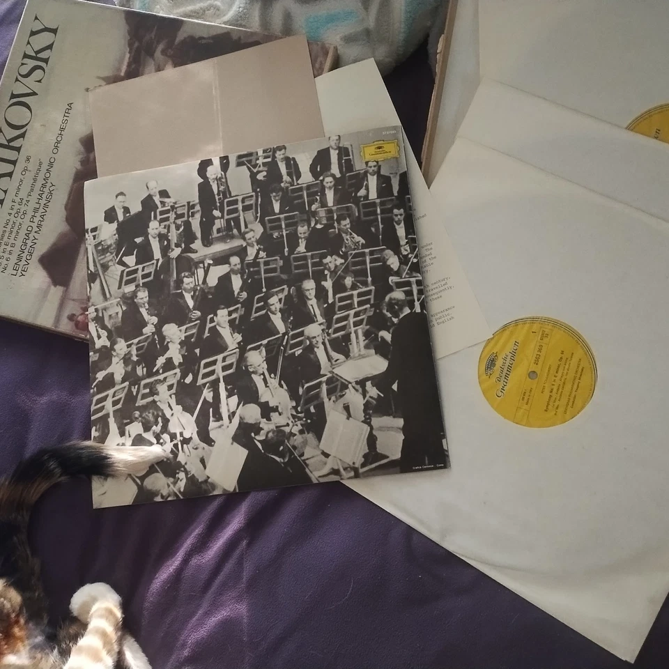 Tchaikovsky Sleeping Beauty JOHN LANCHBERY VINYL BOX SET *SEALED plus Leningrad - Image 4 of 4