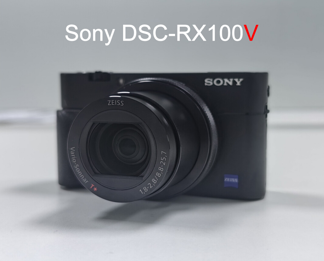 Compact Camera Sony Flip Screen Sony Cyber-Shot DSC-RX100V RX100M5