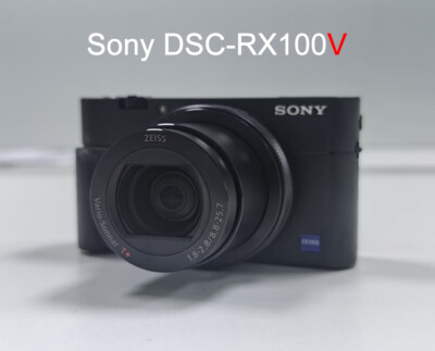 sakata SONY RX100M5 $_12.JPG?set_id=880000500F