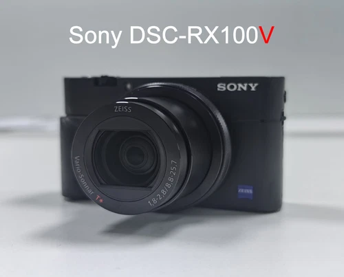 Sony Cyber-Shot DSC-RX100V RX100M5 Compact Digital Camera Flip Screen -98% New - Picture 1 of 14