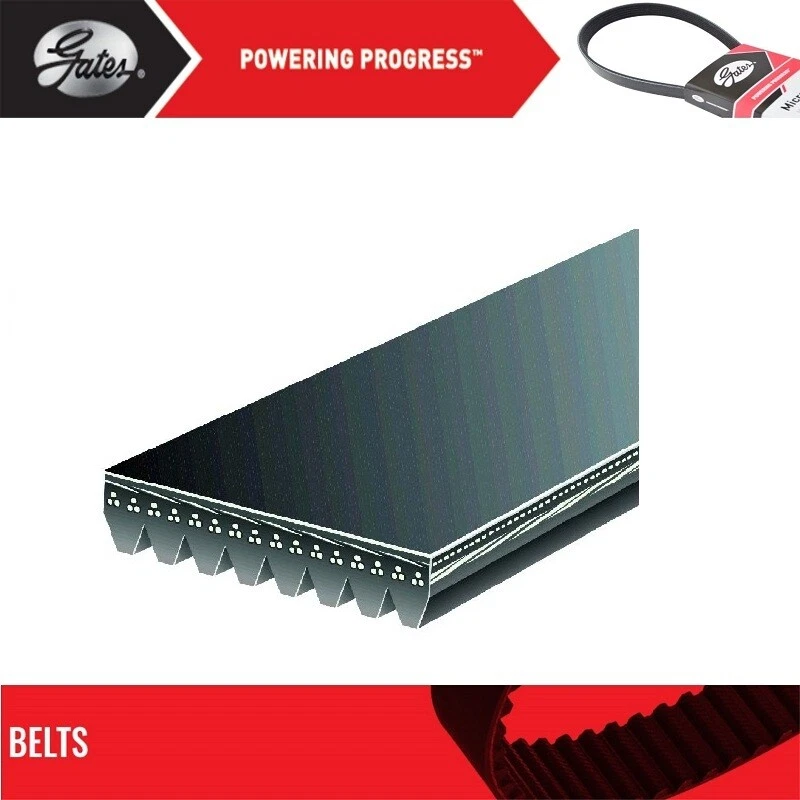 Fan Belt Gates For 1999-2000 STERLING TRUCK LT9522 L6-12.7L - Image 2 of 4