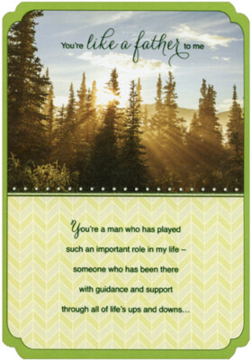 Sunbeam Shining Through Tall Evergreens You're Like a Father Birthday Card