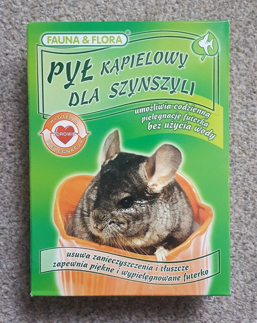 Chinchilla litter 2025