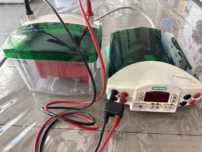 #ad BIO RAD PowerPac Basic Electrophoresis Power Supply w Mini Protean Tetra Cell $550.00