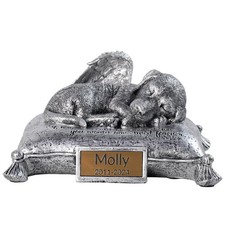 SpeXyngial Urns for Pet Ashes Pet Cremation Urn for Dogs & Cats Honor Your Loved