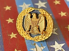 Rare Vintage NSA National Security Agency Service Lapel Pin Award Insignia