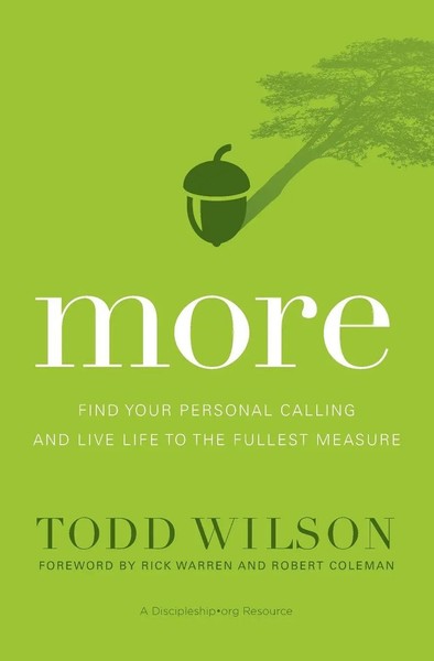 Todd Wilson | The More | Taschenbuch | Englisch (2016) | Kartoniert / Broschiert-image