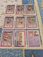 1993 QUEBEC PEE WEE NATIONAL DE LA BAIE   COMPLETED SET (17 )