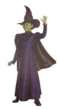 Disguise Girls S (6/6X) Wicked Elphaba Deluxe Costume With Dress, Cape and Hat