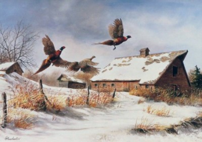 Winter Flight By Richard Plasschaert Pheasant Farm Scene  Print   10'' x 7''