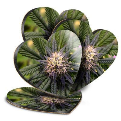 4x Herz MDF Untersetzer - Marihuana Planet Weed #16657
