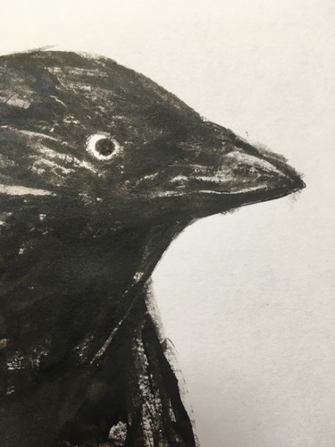 Original signed Ink sketch drawing painting of a Jackdaw Crow A3 approx. - Picture 5 of 10