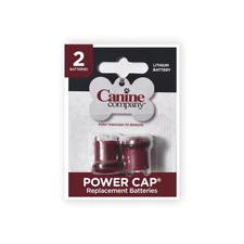 Pet Fence Batteries for Invisible Fence Brand Dog Collars – Compatible wit