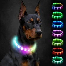 Joytale Light Up Dog Collar, Rainproof and 27.5 Inch (70 cm), Multi-colored 