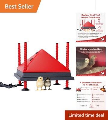 Energy-Saving 12x12  Heating Plate with Foldable Anti-Roost Cone for 20 Chicks