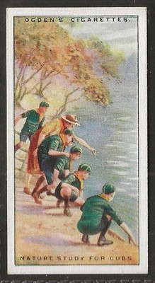 OGDENS - PFADFINDER 1929 (VERSCHIEDEN) - #10 - NATURSTUDIE FÜR JUNGTIERE
