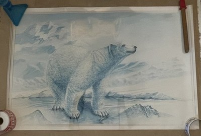 VTG 20x30  Poster Sized Color PHOTO Polar BEAR Art  Print WILDLIFE Steele Newman
