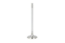 Soupape d'admission 7028 - SARCR pour NISSAN CUBE, JUKE, MICRA C+C III, MICRA