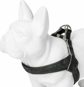 tsc dog harness