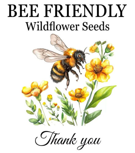 Bee Friendly Wildflower Seeds Mix Favours Party Bags Corporate Gifts BF7 20-100 - Picture 2 of 6