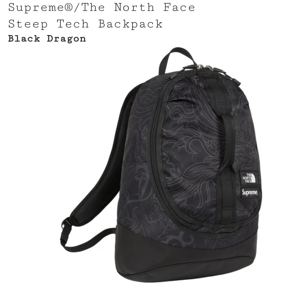 Supreme The North Face Steep Tech Backpack Bag Brand New Supreme The North Face Steep Tech Backpack Bag Brand New