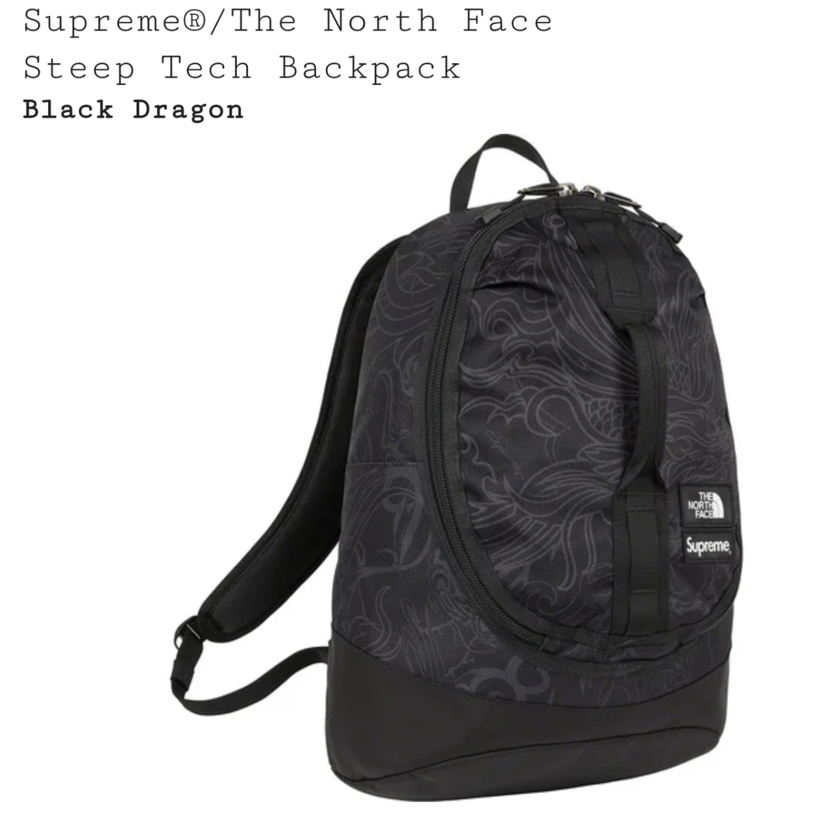 Supreme®/TheNorthFace  SteepTechBackpackCOLO