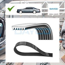Dayco Keilrippenriemen BMW 3 (E46) 318 i