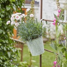 Smart Garden Fern Sage Fence & Balcony Hanging Pot 6"