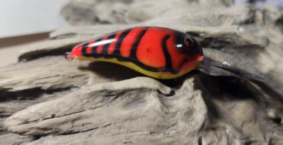 Custom painted 55 rock crawler crankbait (Texas RAYBURN RED CRAW)