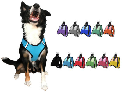 Nylon Mesh Easy Step-In Quick-Release Padded Soft Puppy Pet Dog Harness