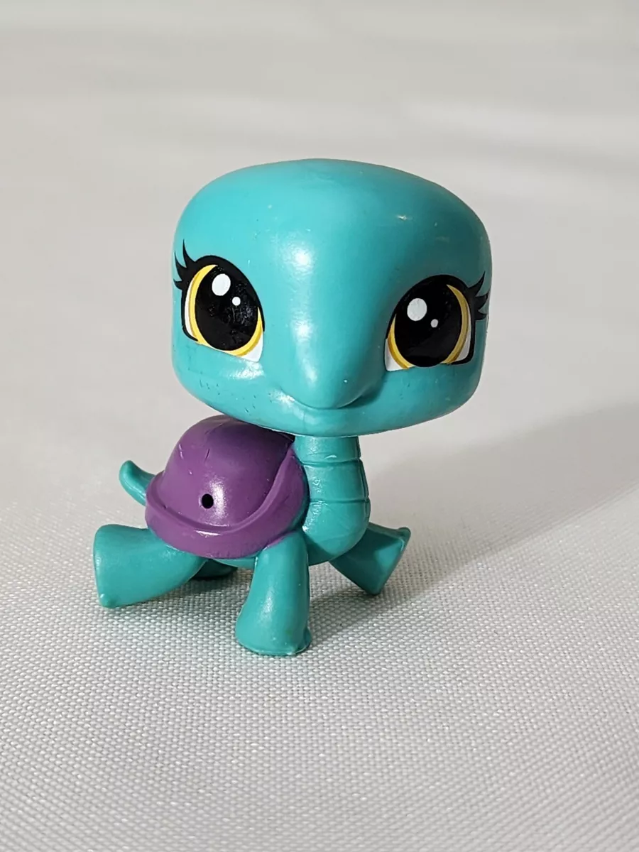 Little pet shop tortuga clearance