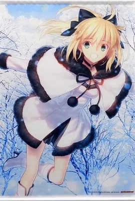 [Tapestry Wall scroll] Saber Lily  Fate ART WORKS B2 size Limited Japan