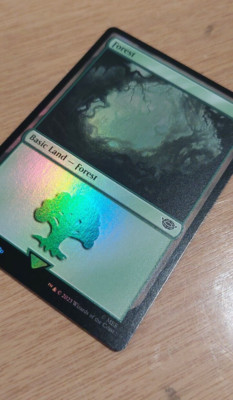 Forest (270) Lord of the Rings Foil Land Magic the Gathering card