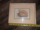Picture 8 of 10