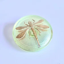 Uranium Glass Button Art Deco Green Vaseline Glass Button Dragonfly 30mm