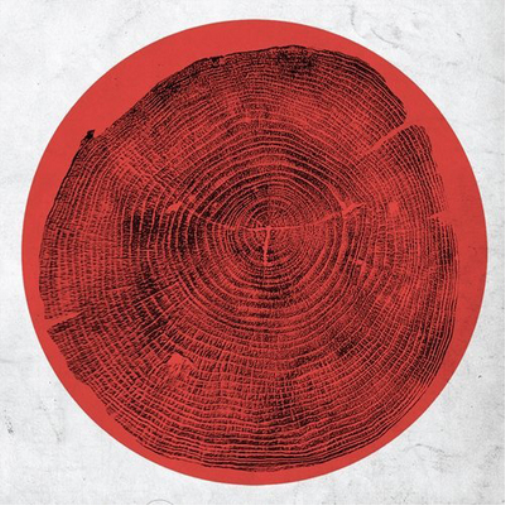 Roy Montgomery Q: Transient Global Amnesia (Vinyl LP) 12" Album