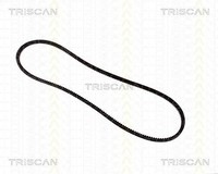 Triscan Keilriemen U.A. FüR Alfa Romeo, Bmw, Chrysler, CitroËN, Ford, Isuzu